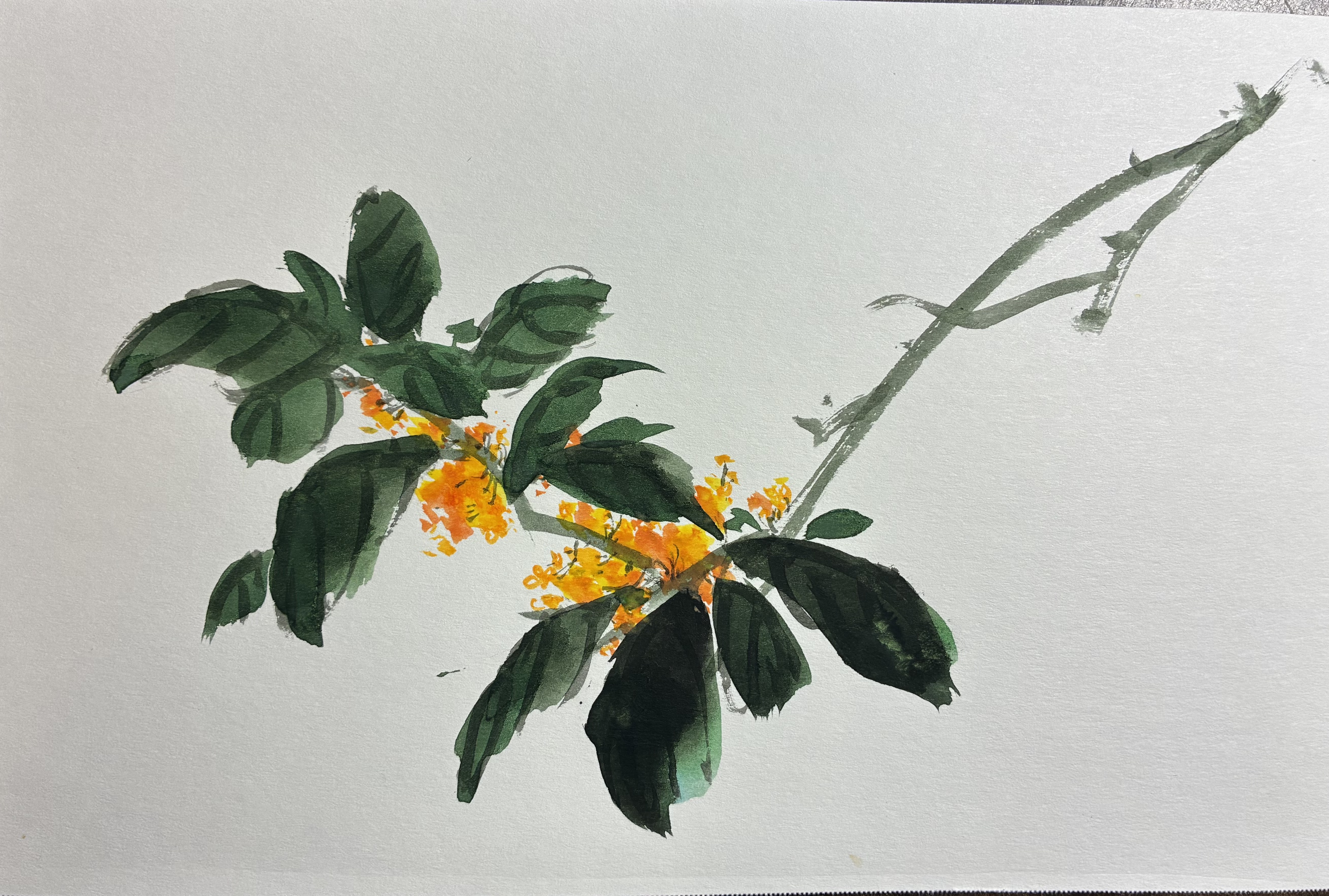 Mid-Autumn Miniatures (2025-10)