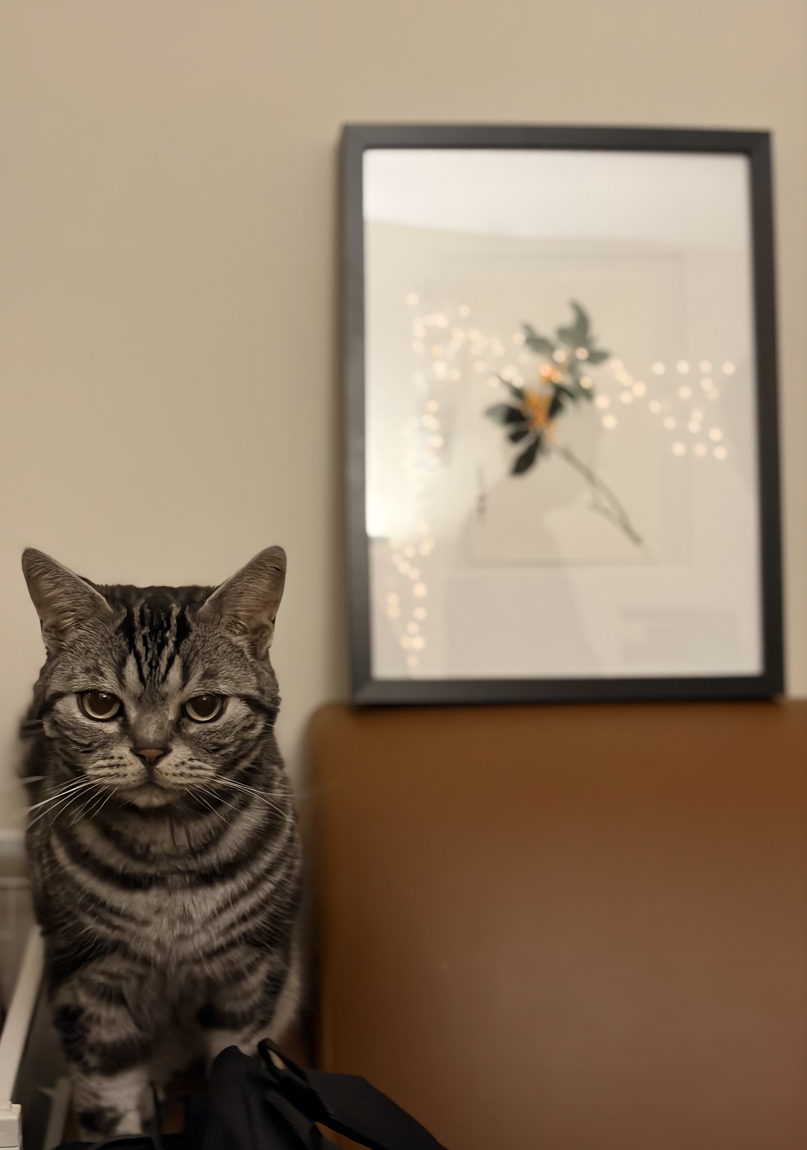 Mid-Autumn Miniatures (2025-10)