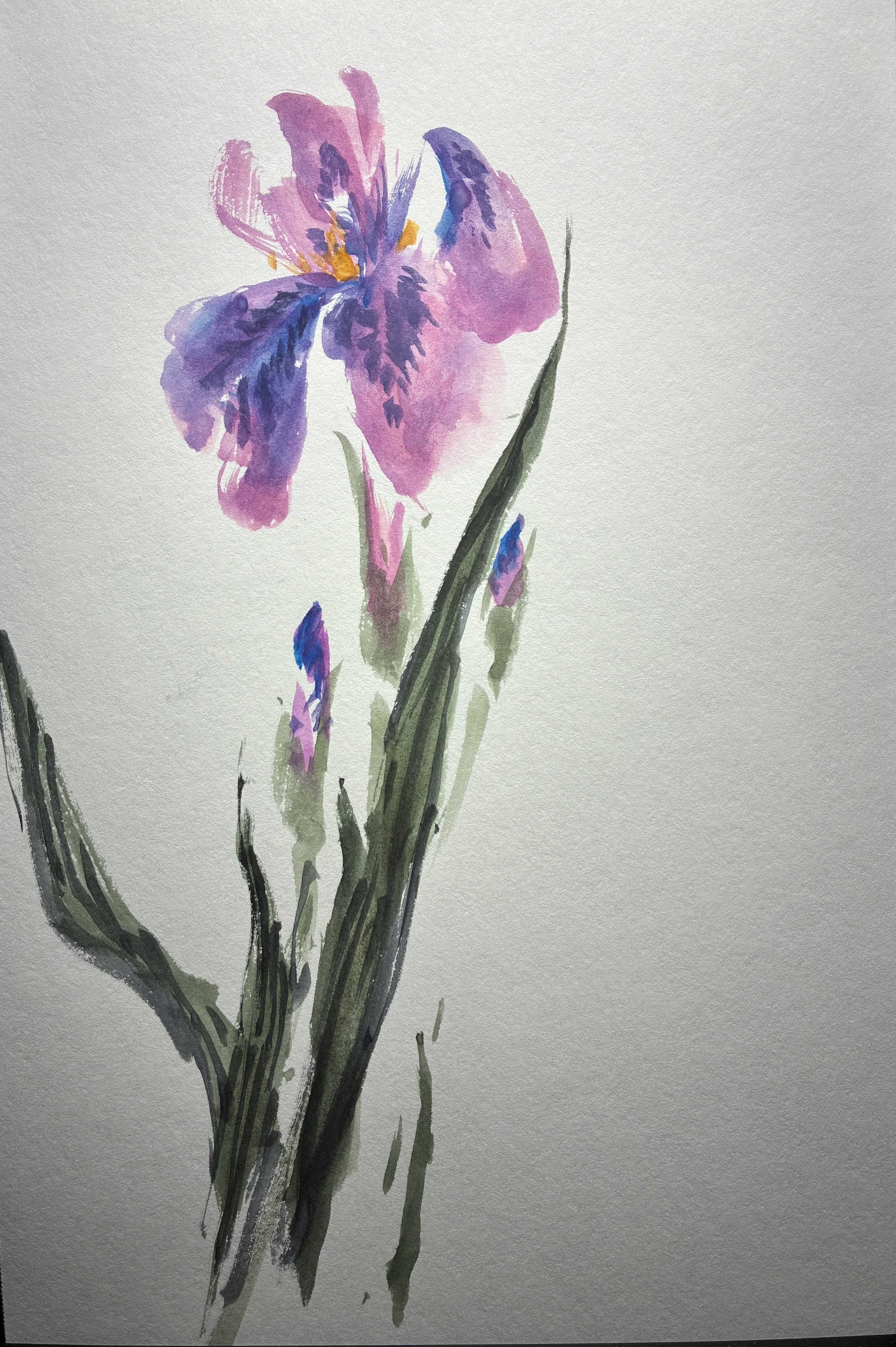 Blossoms in Watercolor (2025-09)