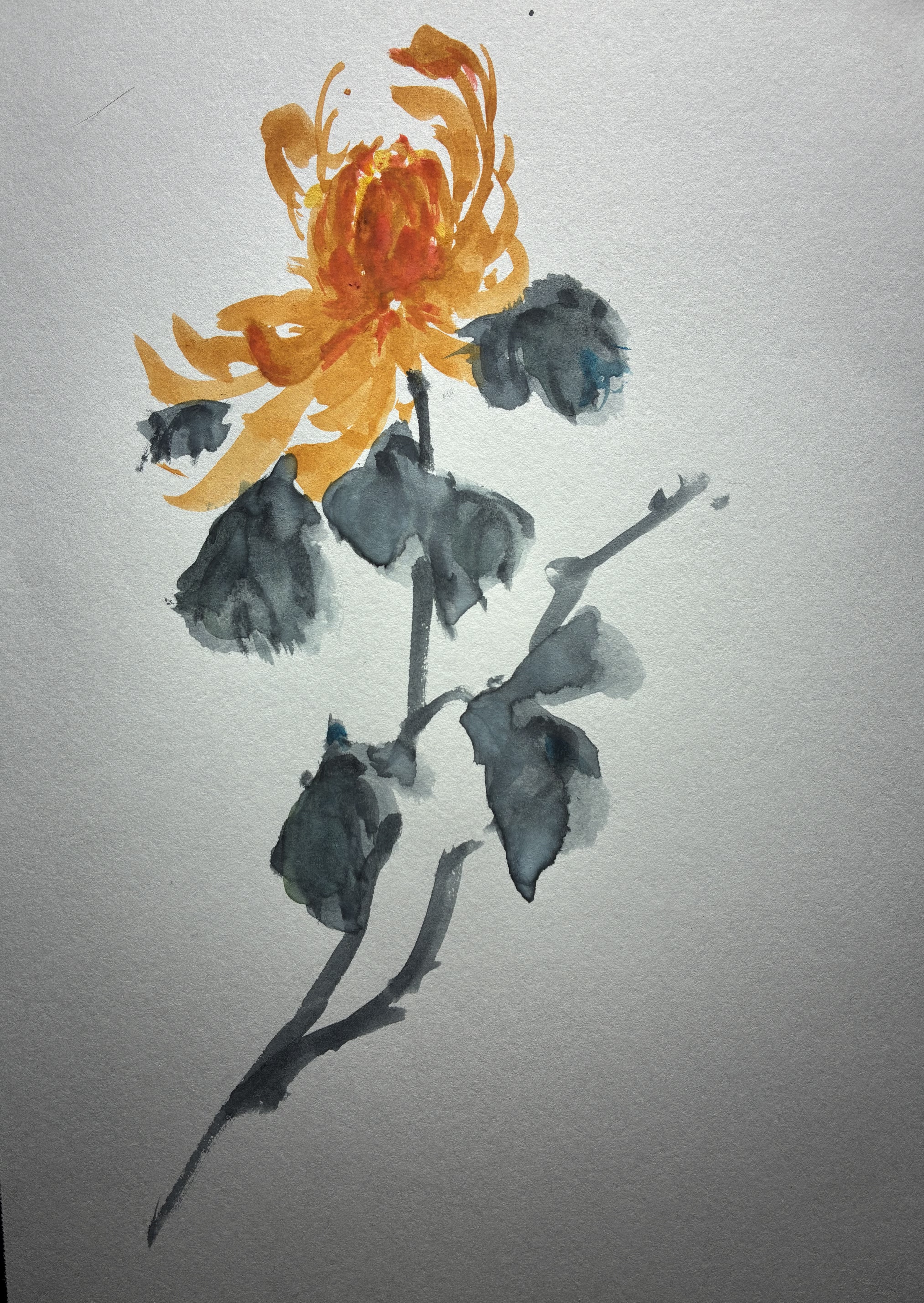 Blossoms in Watercolor (2025-09)